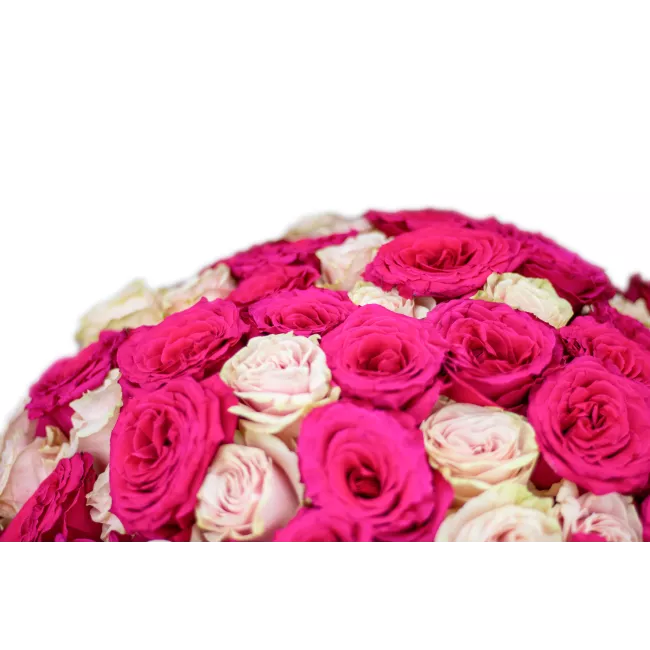 Bouquet od pink roses